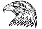 Coloriage aigle