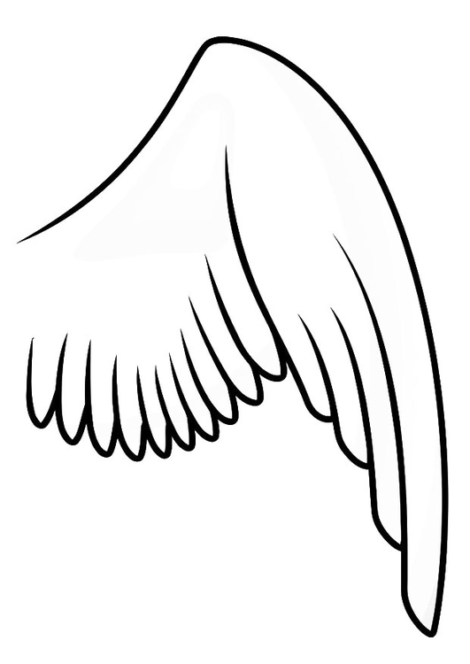 Coloriage Aile Droite Coloriages Gratuits A Imprimer Dessin 697