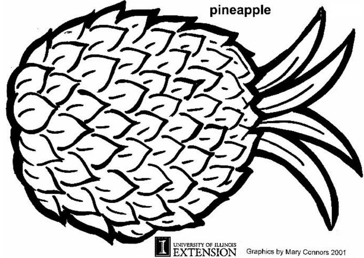 Coloriage ananas