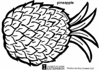 Coloriage ananas