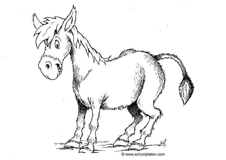 Coloriage Ã¢ne