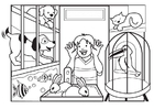 coloriage animalerie