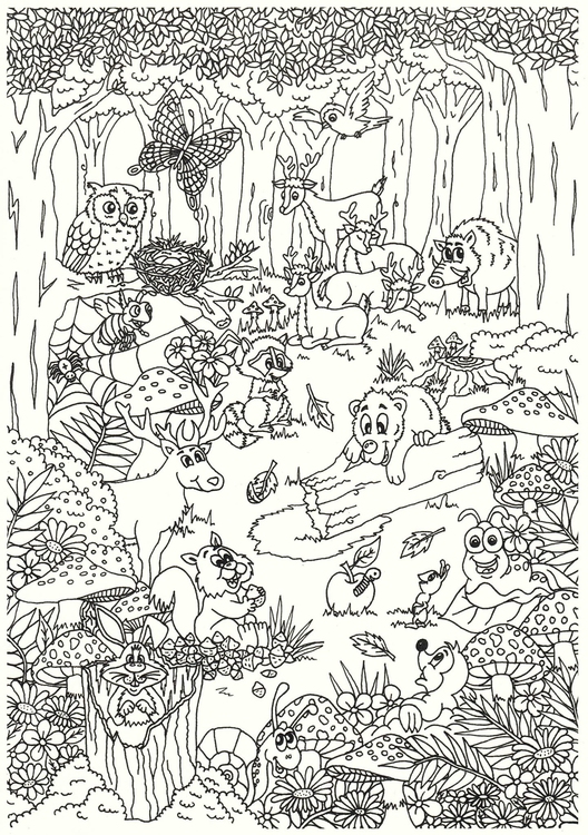 Coloriage Animaux Dans La Foret Coloriages Gratuits A Imprimer Dessin