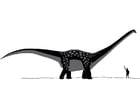 Coloriage antarctosaurus