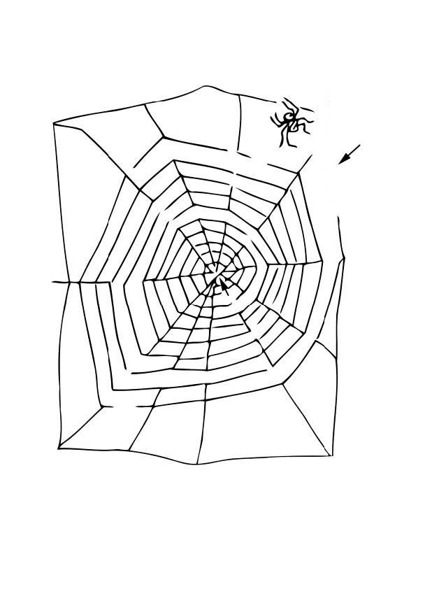 Coloriage araignÃ©e dans labyrinthe