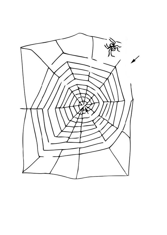 Coloriage araignÃ©e dans labyrinthe