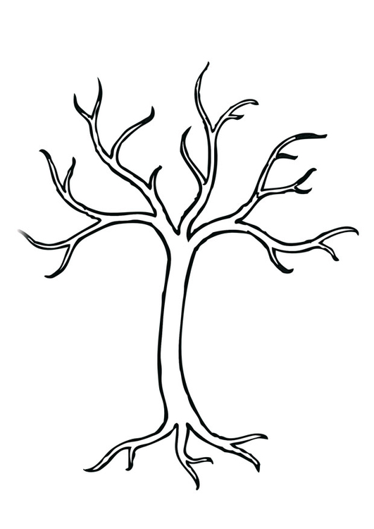 Coloriage arbre