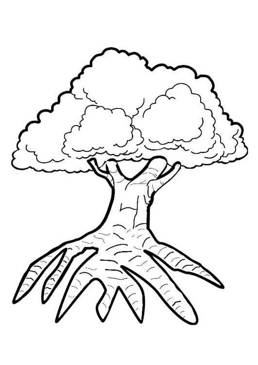 Coloriage arbre