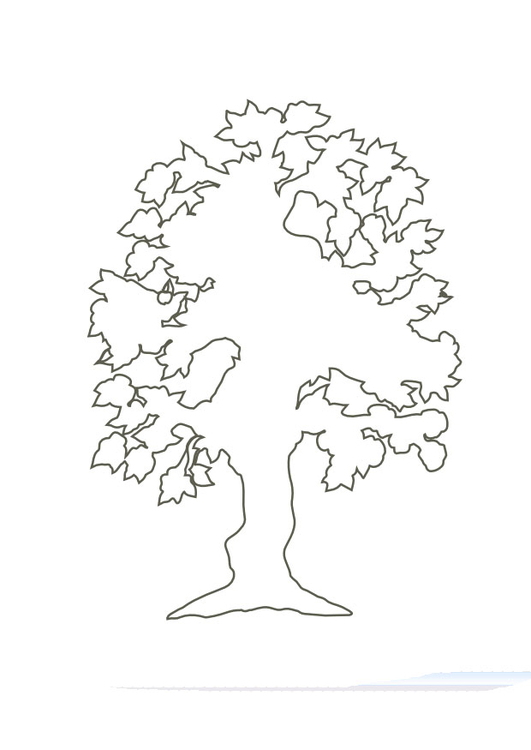 Coloriage arbre