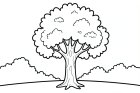 Coloriage arbre