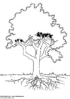 Coloriages arbre