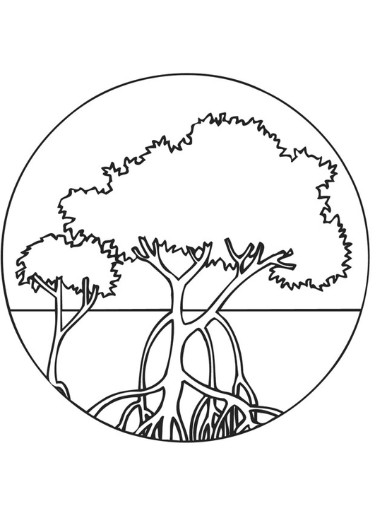 Coloriage arbres de mangrove