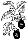 Coloriage aubergine