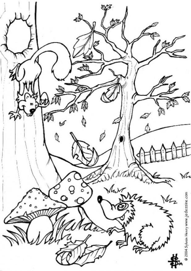 Coloriage Automne Ecureuil Et Herisson Coloriages Gratuits A Imprimer