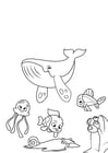 Coloriage baleine poulpe et poisson