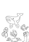 Coloriage baleine poulpe et poisson