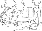 coloriage basset