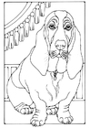 Coloriage basset