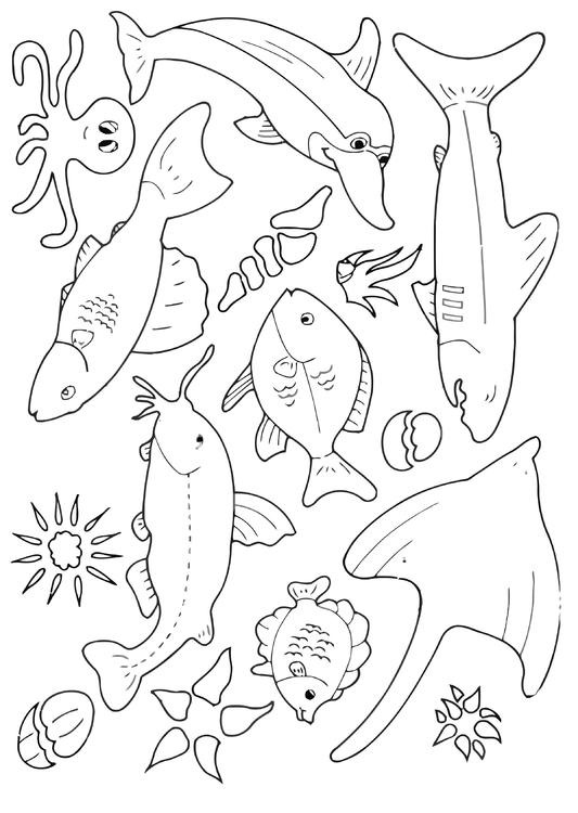 beaucoup de poissons dans la mer