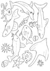 Coloriages beaucoup de poissons dans la mer