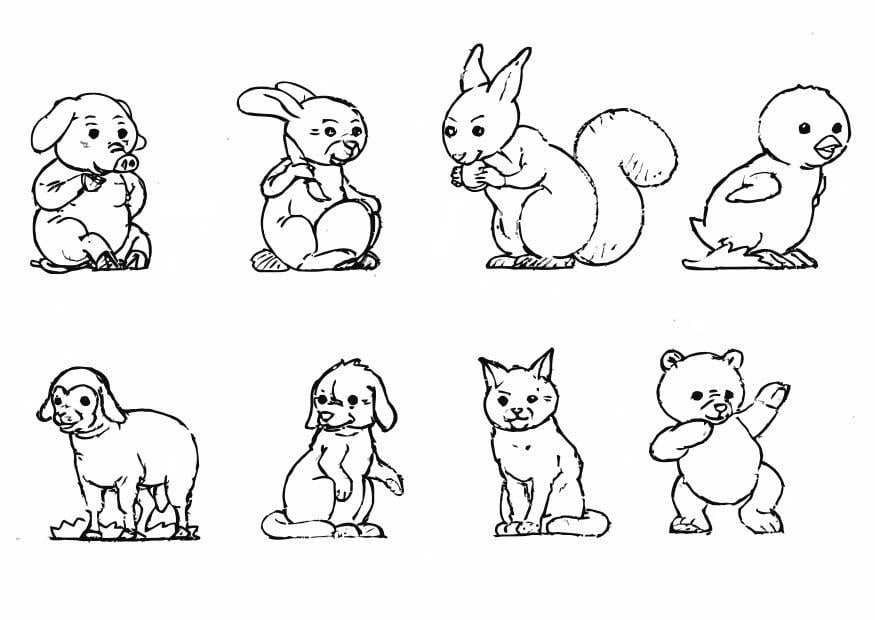 Coloriage Bébé Animaux Coloriages Gratuits à Imprimer