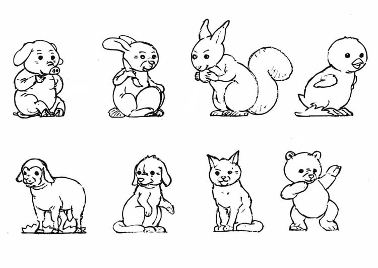 Coloriage bÃ©bÃ© animaux