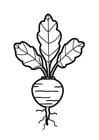 Coloriage betterave