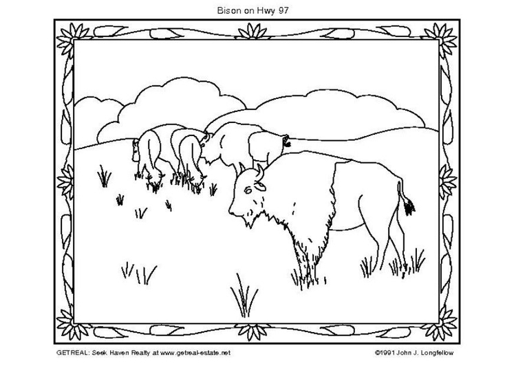 Coloriage bison