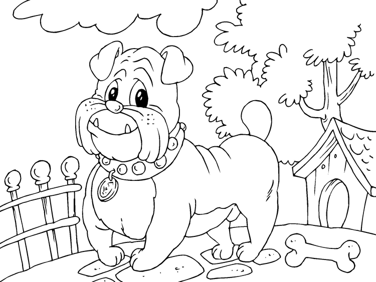 Coloriage bouledogue