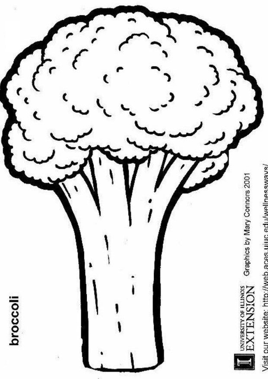 Coloriage brocoli