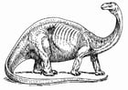 brontosaure