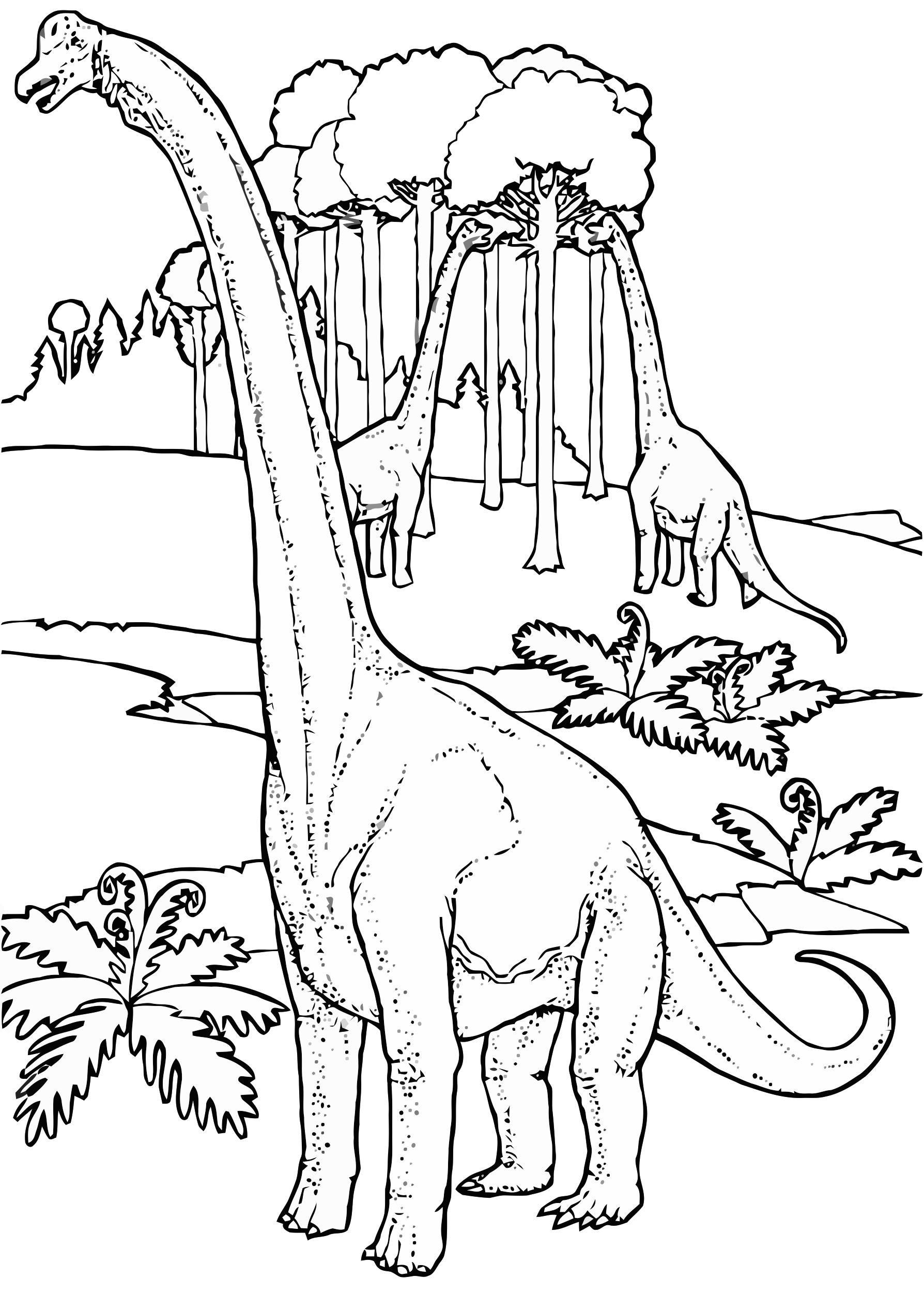 Coloriage brontosaures