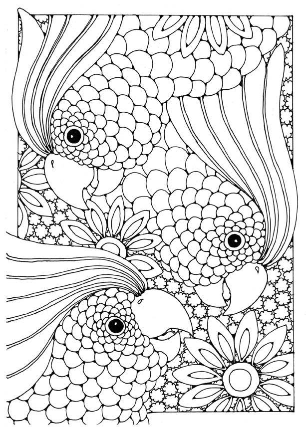 coloriage cacatoes i