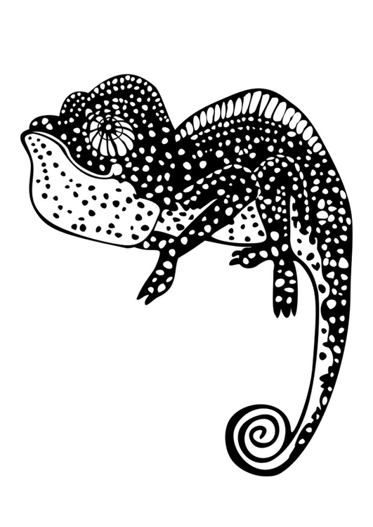 Coloriage camÃ©lÃ©on