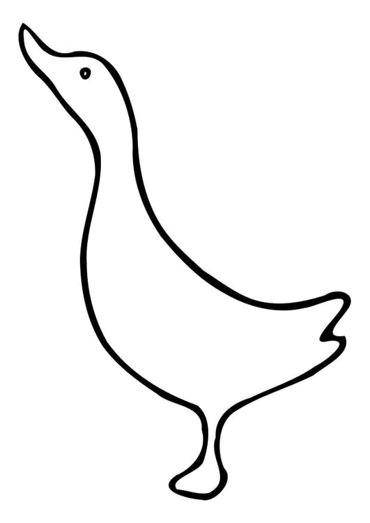 Coloriage canard