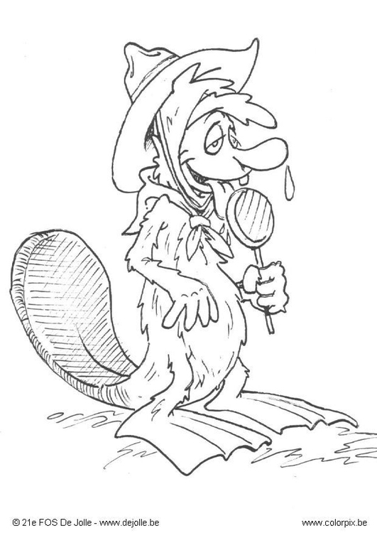 Coloriage castor