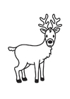 coloriage Cerf