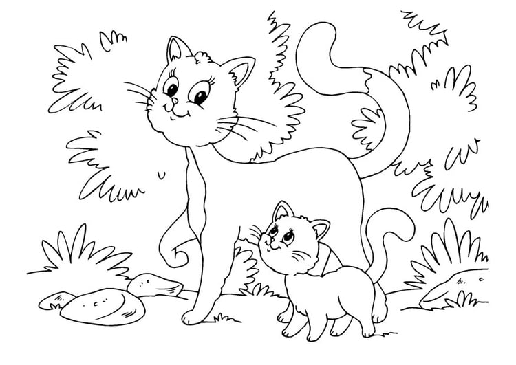 Coloriage chat et chaton