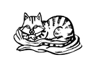 coloriage chat