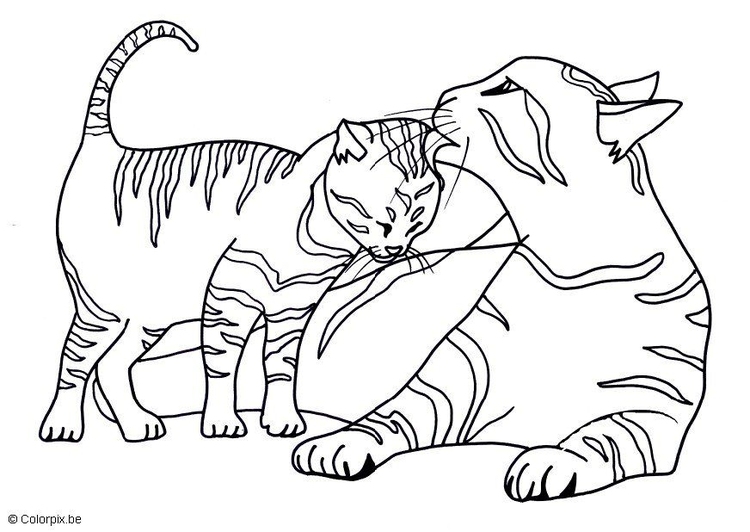 Coloriage chats  Coloriages Gratuits à Imprimer  Dessin 17439