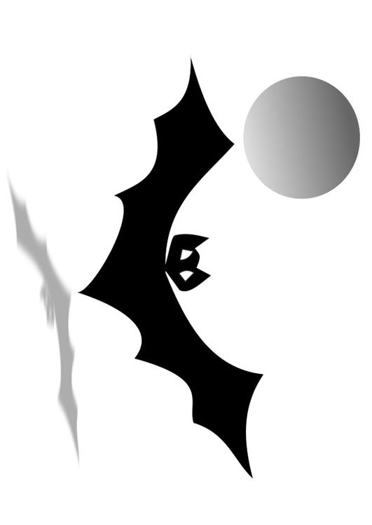 chauve-souris