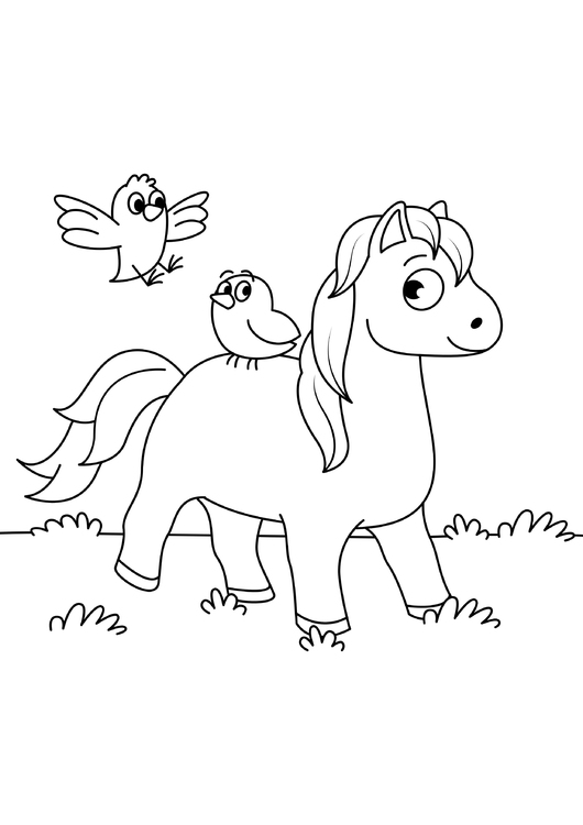 Coloriage cheval avec des oiseaux