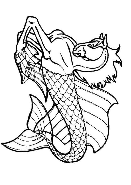 Coloriage cheval de mer  Coloriages Gratuits à Imprimer  Dessin 6036