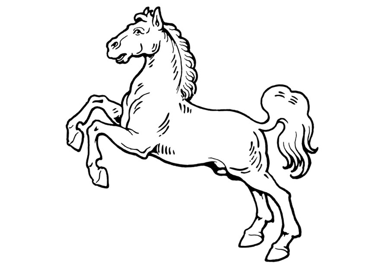 Coloriage cheval