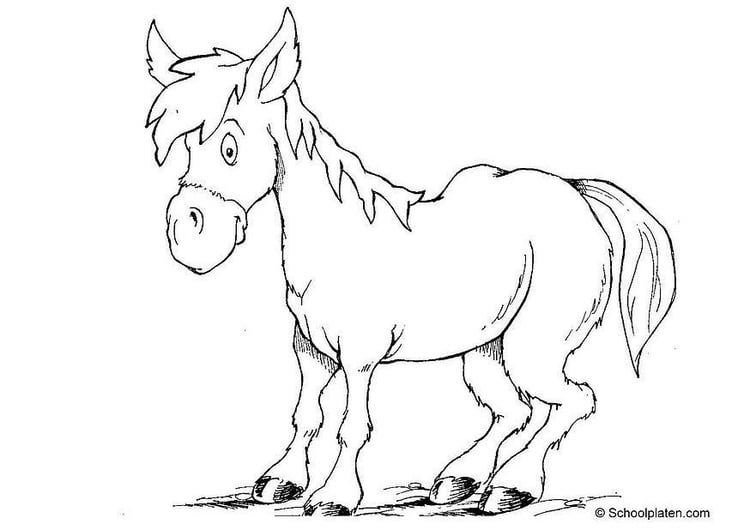 Coloriage cheval