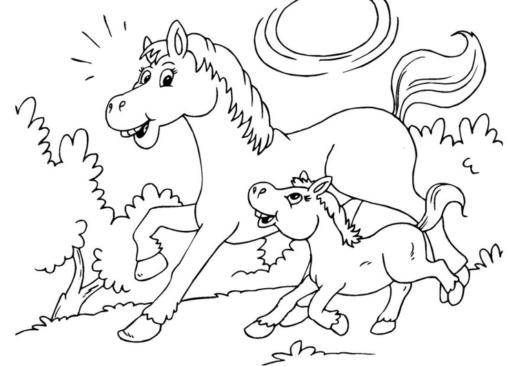 Coloriage cheval et poulain