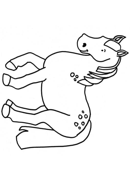 cheval