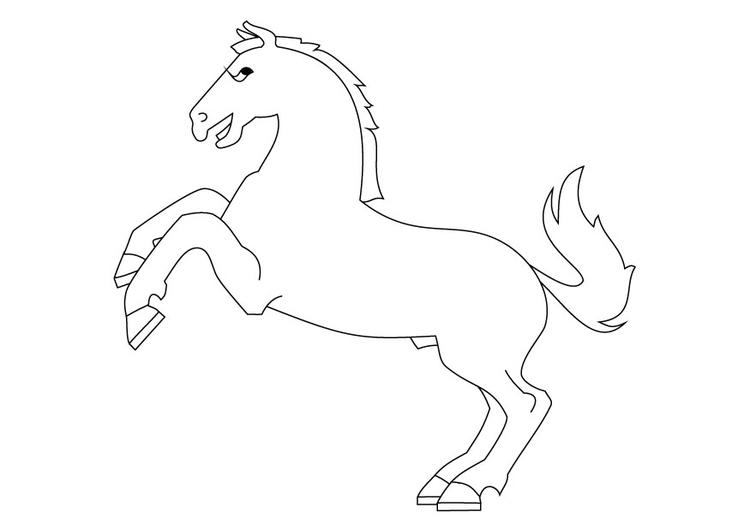 Coloriage cheval qui se cabre