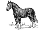 cheval