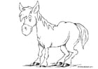 Coloriage cheval